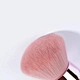 cleaning makeup brushes